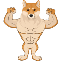 Alpha Shiba Inu