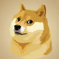 DOGE 2.0