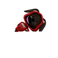 Rizz Inu