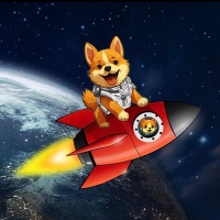 Starship Doge